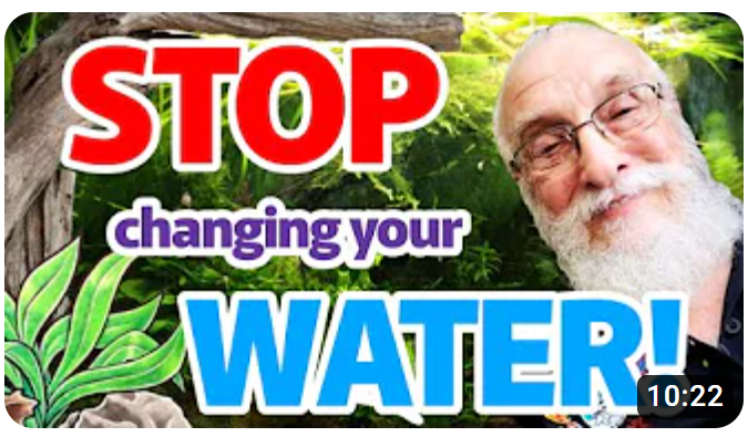 Should You Stop Doing Water Changes?! - A Father Fish Video Review